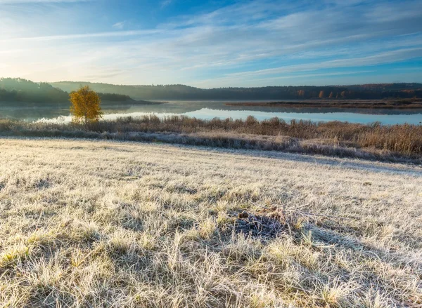 Autumnal cold morning on meadow — Stock Photo, Image