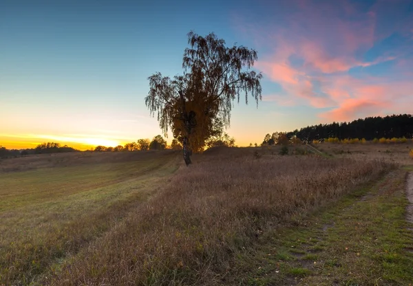 Bela paisagem outonal com árvores e belas paisagens — Fotografia de Stock