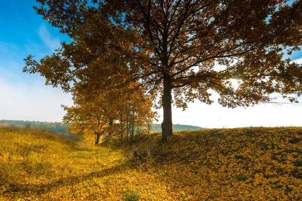 Bela paisagem outonal com pradarias e árvores — Fotografia de Stock