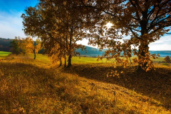 Bela paisagem outonal com pradarias e árvores — Fotografia de Stock