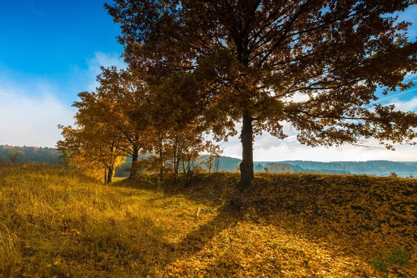 Bela paisagem outonal com pradarias e árvores — Fotografia de Stock