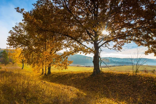 Bela paisagem outonal com pradarias e árvores — Fotografia de Stock