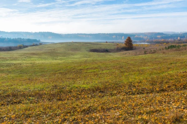 Beautiful autumnal landscape with grassland and trees — Stock Photo, Image