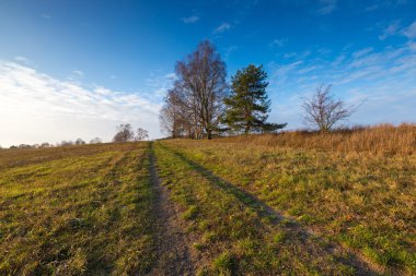 Alan geç sonbahar ya da kış manzara