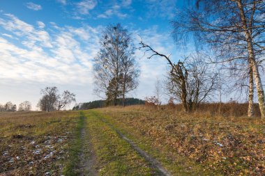 Alan geç sonbahar ya da kış manzara