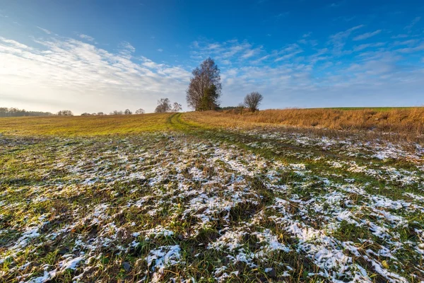 Paisaje de campos a finales de otoño o invierno — Foto de Stock