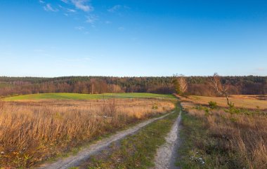Geç sonbahar ya da kış alan panoramik manzara