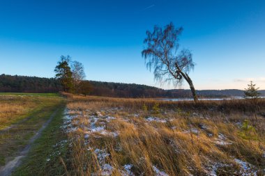 Alan geç sonbahar ya da kış manzara
