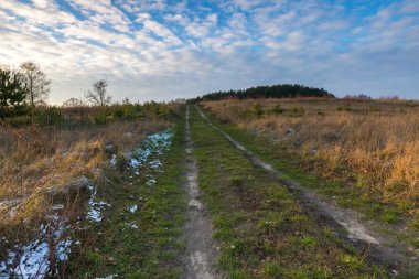 Alan geç sonbahar ya da kış manzara