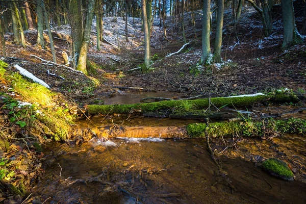 Landscape of late autumnal forest with first snow and small river — Stock Photo, Image