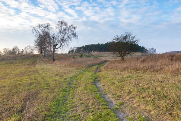 Paisaje de campos a finales de otoño o invierno — Foto de Stock