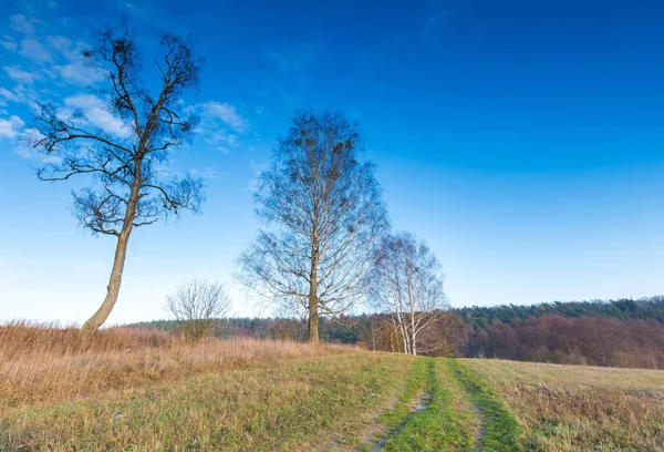 Paisagem de campos no final do outono ou inverno — Fotografia de Stock