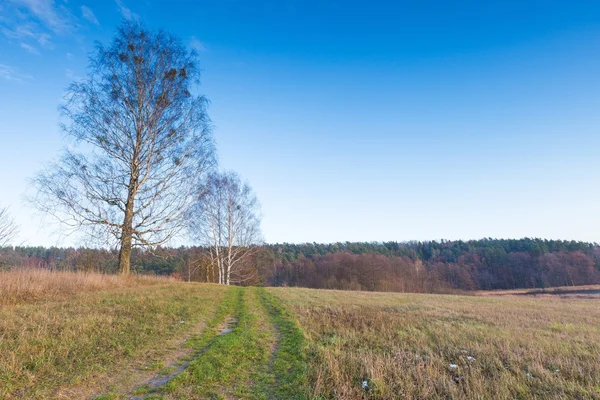 Paisagem de campos no final do outono ou inverno — Fotografia de Stock