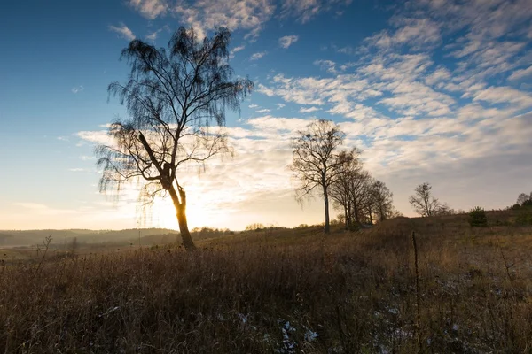 Paysage des champs à la fin de l'automne ou en hiver — Photo