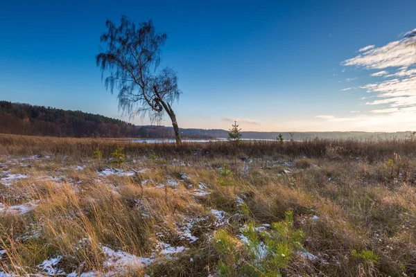Krajobraz pól w Późną jesienią lub zimą — Zdjęcie stockowe