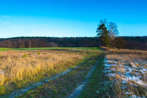 Landschap van velden in de late herfst of winter — Stockfoto
