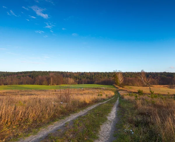 Paysage des champs à la fin de l'automne ou en hiver — Photo