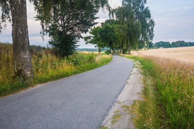 Asfalt yola yakın alanlar