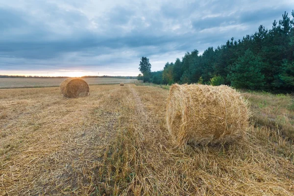 Stubble campo paesaggio — Foto Stock