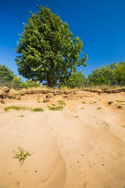 Gedroogde grond in de buurt van velden — Stockfoto