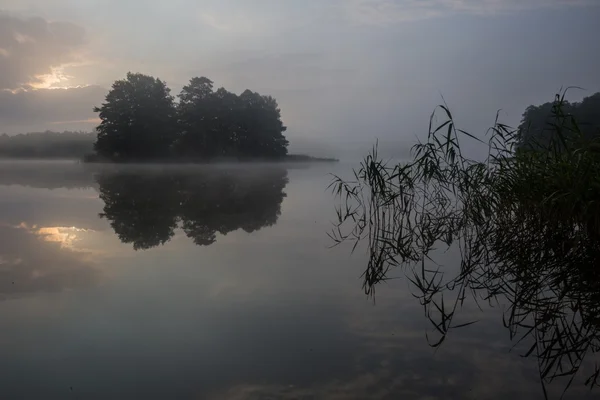 Mistige ochtend lake — Stockfoto