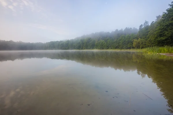 Morning foggy lake — Stock Photo, Image
