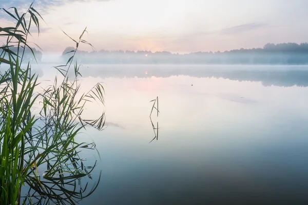 Mistige ochtend lake — Stockfoto