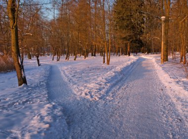 Winter park peyzaj