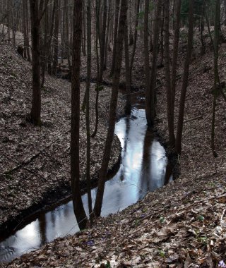 Küçük vahşi nehir