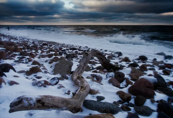 Paysage marin de la Baltique en hiver — Photo