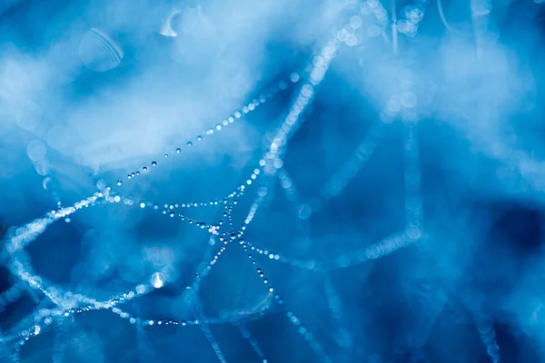 Spider web in close up — Stock Photo, Image