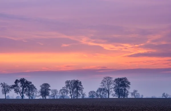 Após o pôr do sol céu colorido sobre os campos — Fotografia de Stock