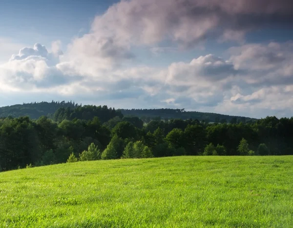 Vor Sonnenuntergang bunter Himmel über der Wiese — Stockfoto