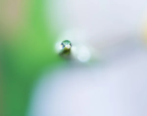 Goccia d'acqua sulla foglia d'erba — Foto Stock