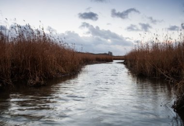 Küçük vahşi nehir