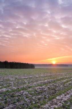 Sürülmüş sonbahar alan manzara