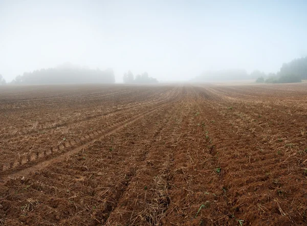 Plowed autumnal field landscape — Stock Photo, Image