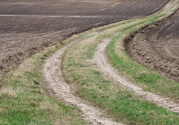 Country sandy road — Stock Photo, Image