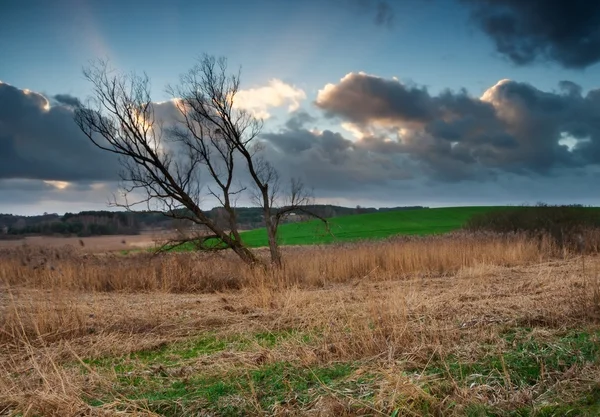 Plowed autumnal field landscape — Stock Photo, Image