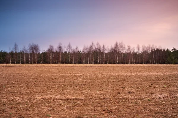 Geploegd herfst veld landschap — Stockfoto