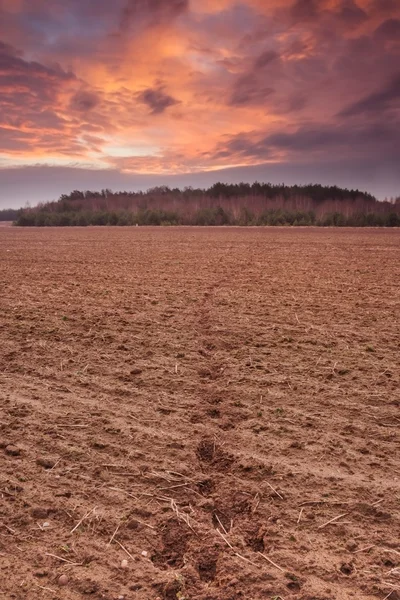 Plowed autumnal field landscape — Stock Photo, Image