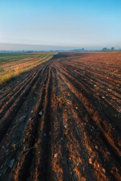 Pejzaż pole ranek — Zdjęcie stockowe