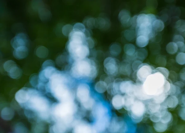 Natural bokeh background — Stock Photo, Image