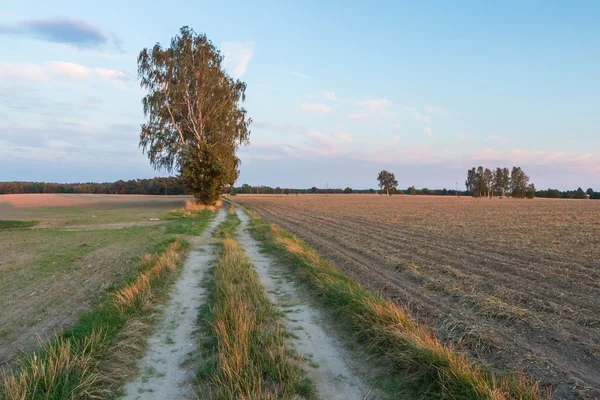 Rural zandstrand landweg — Stockfoto