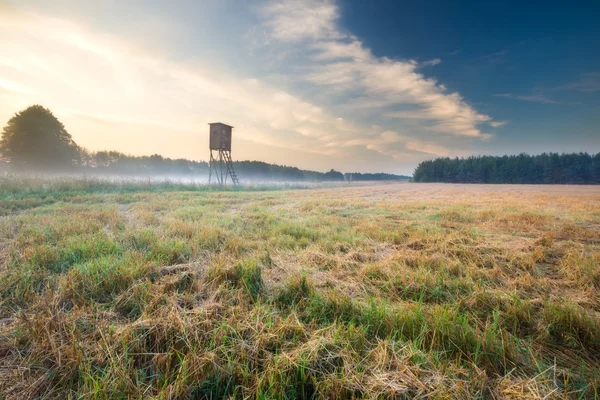 Foggy morning meadow. landscap — Stock Photo, Image