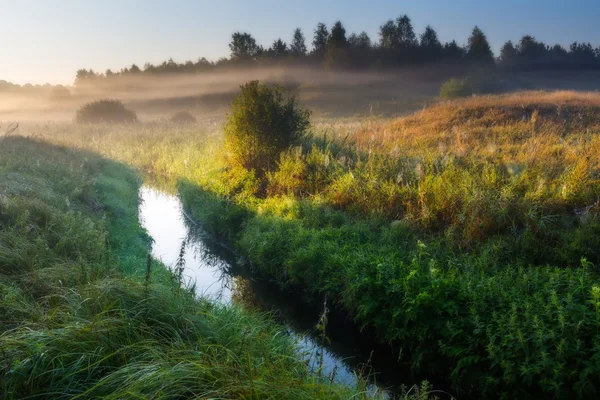 Foggy morning meadow. landscap — Stock Photo, Image