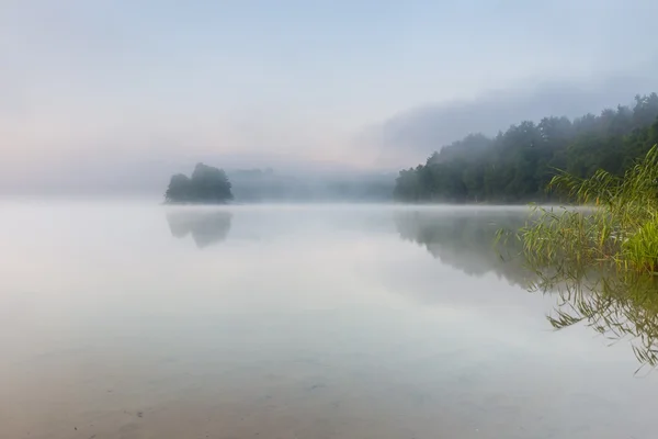 Morning foggy lake — Stock Photo, Image