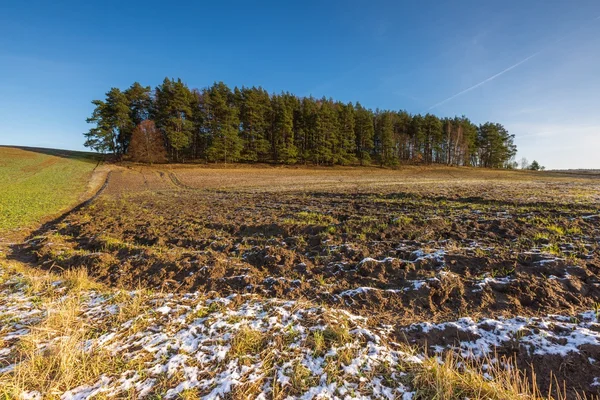 Campo panorámico de invierno temprano paisaje — Foto de Stock