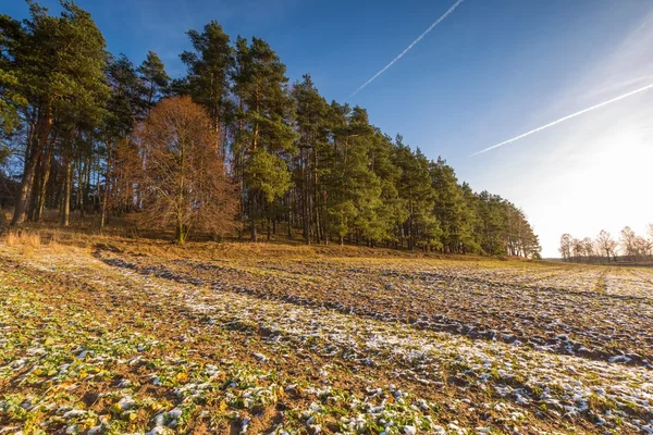 Erken kış alan manzara
