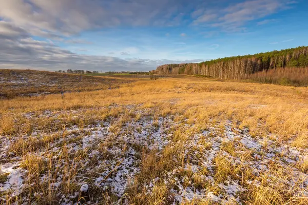 Pejzaż pole wczesną zimą — Zdjęcie stockowe